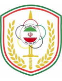 نيروي زاميني