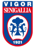 विगोर सेनिगालिया