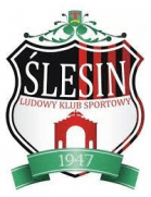 एलकेएस स्लेसिन