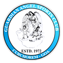 جارديان إنجيل