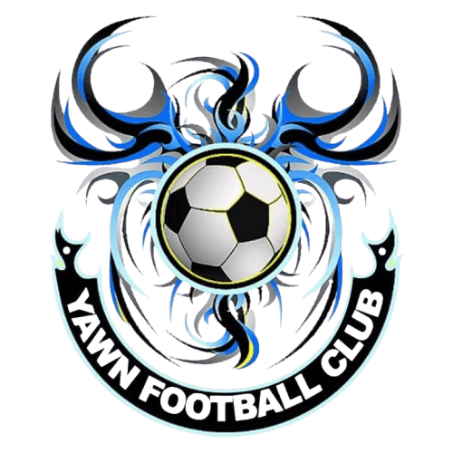 यॉन एफसी