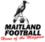 माइटलैंड एफसी महिलाएं