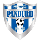 एसीएस विटोरुल पांडुरी टार्गु जिउ