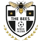 The Bees FC