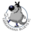 Tarrawanna Blueys