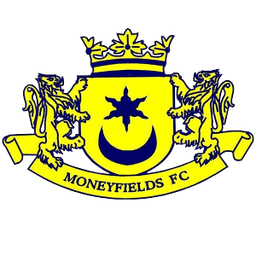 मनीफिल्ड्स