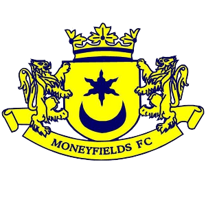 মানিফিল্ডস