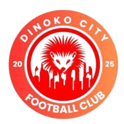 Dinoko City FC