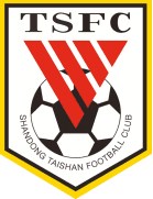 শানডং তাইশান বি