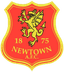 নিউটাউন এএফসি