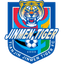 Tianjin Jinmen Tiger U13