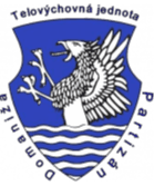 টিজে পার্টিজান ডোমানিজা