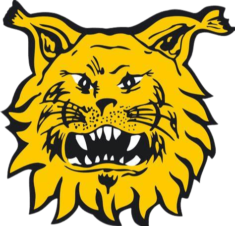 एफसी इल्वेस II यू20