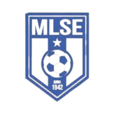 مارتفوي إل إس إي