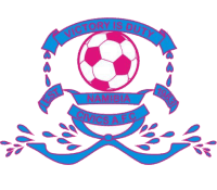 এফসি সিভিক্স