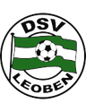 ডিএসভি লিওবেন
