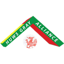 الدوري الويلزي الدرجة الاولى