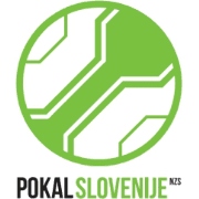 كأس سلوفينيا