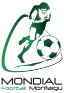 بطولة مونتيجو تحت 16 عام