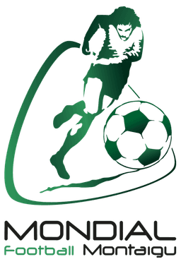 মন্টাইগু টুর্নামেন্ট