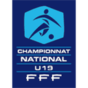 ফরাসি U19 যুব লীগ