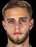 دانيل سافينيخ