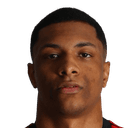 Felipe Vieira da Silva