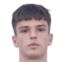 nikola radnic