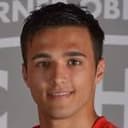 एल्वेदिन कौसी