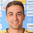 सिनिसा बोरनोविच