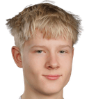 leevi jarvinen