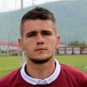 दुशान होजिच