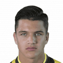 بريند ليفلانج