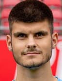 D. Hozlinger