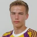 फैबियन गुडेरिट्ज़