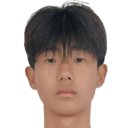Lin Hanqi