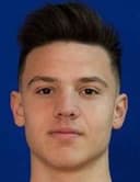 David staiculescu