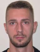 dario ivos