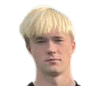 Akseli Aaltonen