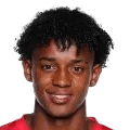 Bruno Braga Ramos