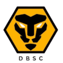 द्विवेदी ब्रदर्स