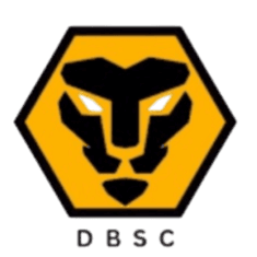 द्विवेदी ब्रदर्स