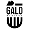 Galo Maringa