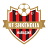 Shkendija Haracine