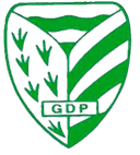 जीडी पेलारिगा अंडर 19