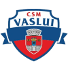 CSSM Vaslui