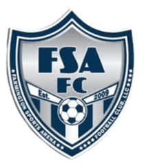 यूनाइटेड सिटी एफएसए