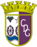 सीडी गोविया अंडर 19