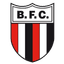 Botafogo-SP Youth