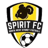 Spirit FC